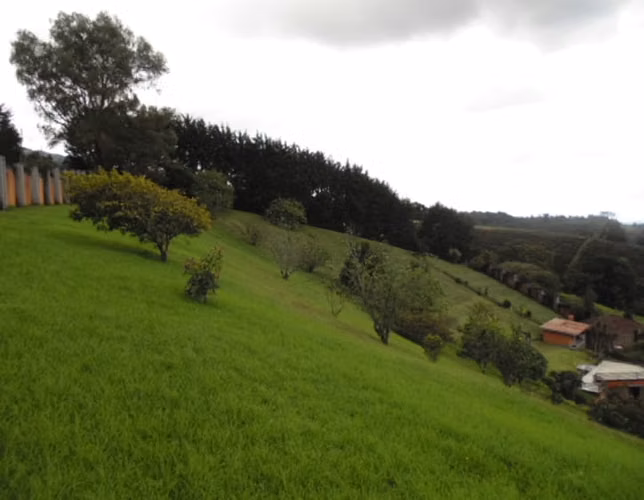 Venta Propiedad de Uso Mixto en Heredia | Salón de Eventos y Cancha 5 - Imagen 19