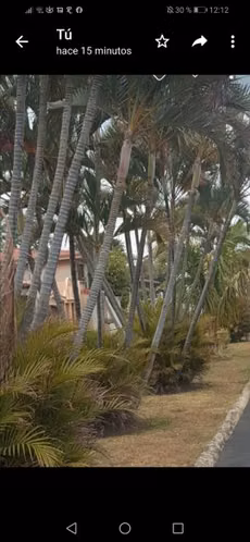 Alquiler de apartamento en Guachipelín de Escazú, Residencial Pinar del Rio - Imagen 11