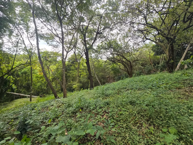 Venta de lote en Condominio Serena. Orotina - Imagen 10