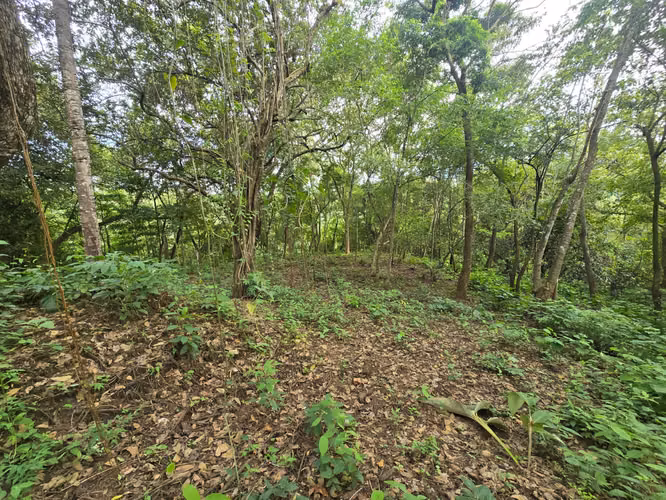 Venta de lote en Condominio Serena. Orotina - Imagen 2