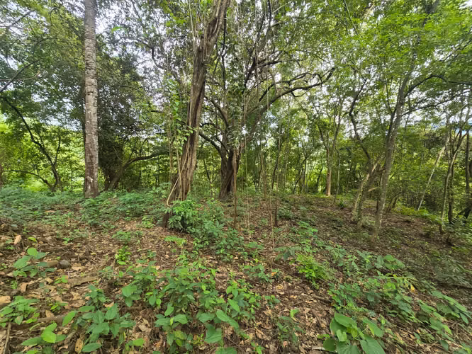 Venta de lote en Condominio Serena. Orotina - Imagen 7