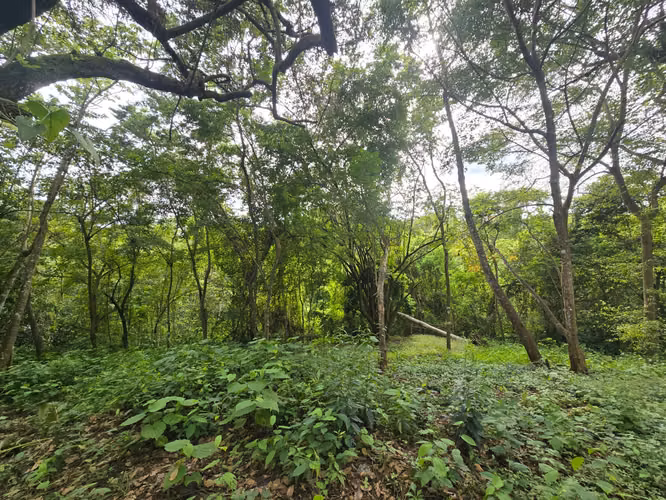 Venta de lote en Condominio Serena. Orotina - Imagen 5