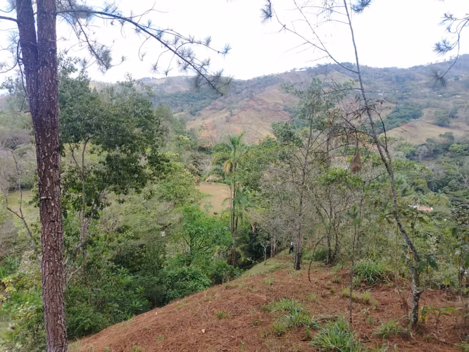 Se vende finca en Puriscal de 14.5 mil m2. P-P - Imagen 9