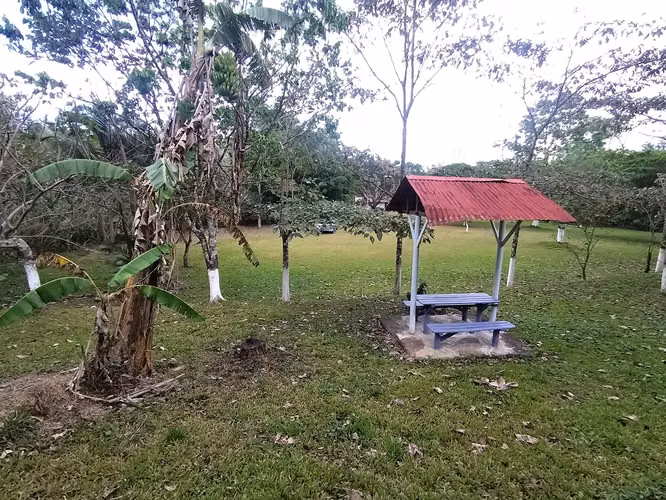 Se vende finca en Puriscal de 14.5 mil m2. P-P - Imagen 14