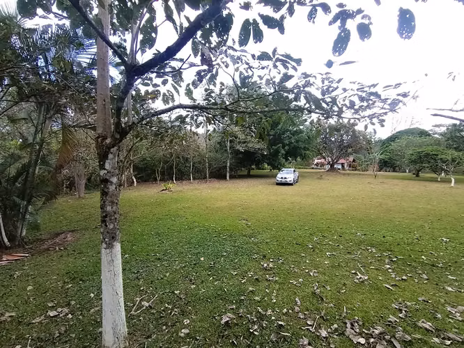 Se vende finca en Puriscal de 14.5 mil m2. P-P - Imagen 12