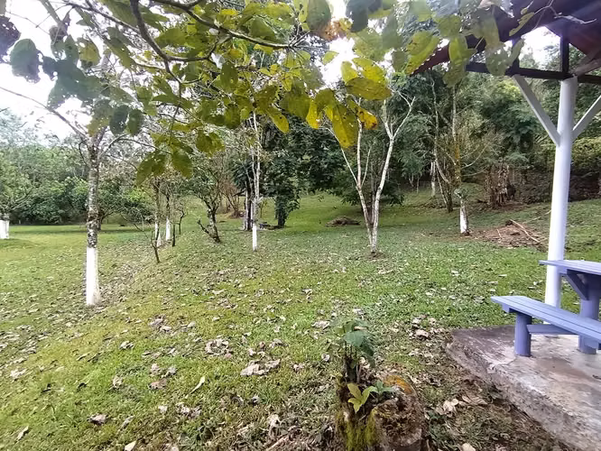 Se vende finca en Puriscal de 14.5 mil m2. P-P - Imagen 13