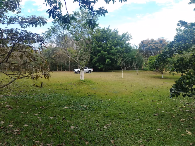 Se vende finca en Puriscal de 14.5 mil m2. P-P - Imagen 4