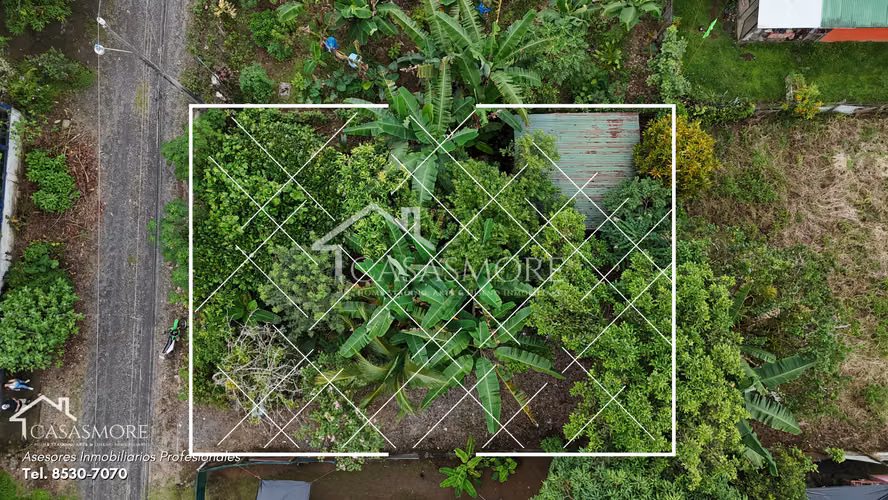 VENTA LOTE CARIARI, POCOCI, 300 M2 PLANO, CON ACCESO A SERVICIOS PUBLICOS, SE ESCUCHAN OFERTAS - Imagen 2