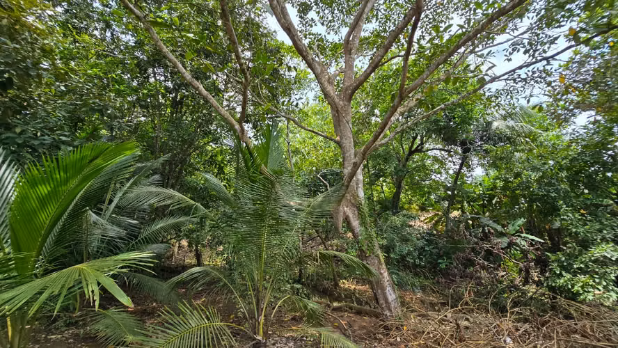 Casa en venta – Esterillos Oeste, Puntarenas