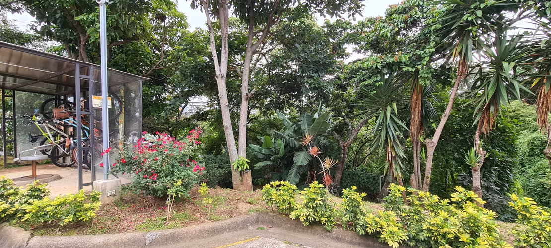 Venta apartamento UCR San Pedro Montes De Oca - Imagen 10
