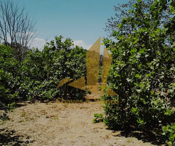 Terreno en Orotina 1.835 m² | Uso Mixto, Todos los Servicios y Gran Potencial - Imagen 5