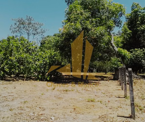 Terreno en Orotina 1.835 m² | Uso Mixto, Todos los Servicios y Gran Potencial - Imagen 7