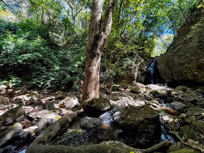 Venta de 1.3 Hectáreas con Bosque y Río en La Guácima - Imagen 3