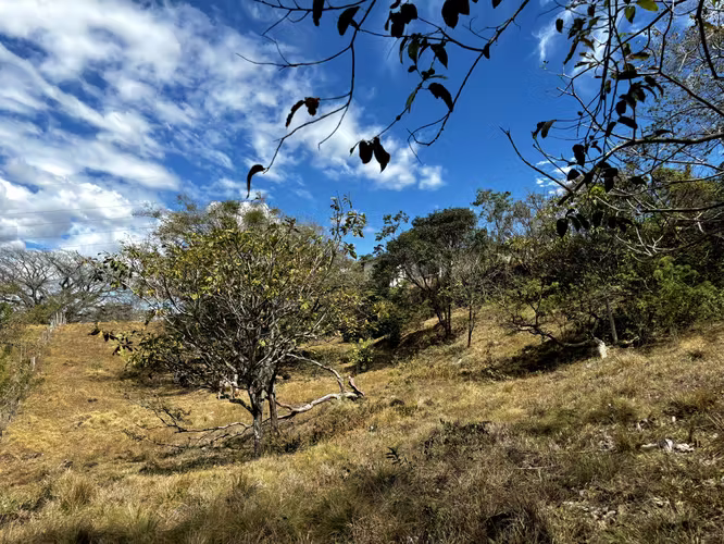 Venta de 1.3 Hectáreas con Bosque y Río en La Guácima - Imagen 9