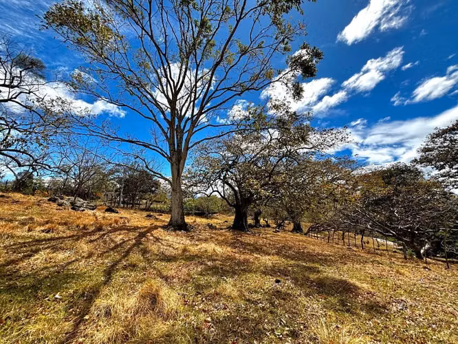 Venta de 1.3 Hectáreas con Bosque y Río en La Guácima - Imagen 5