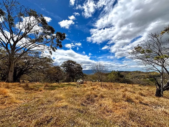 Venta de 1.3 Hectáreas con Bosque y Río en La Guácima - Imagen 4