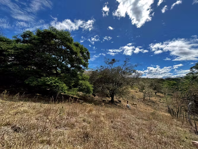 Venta de 1.3 Hectáreas con Bosque y Río en La Guácima - Imagen 7