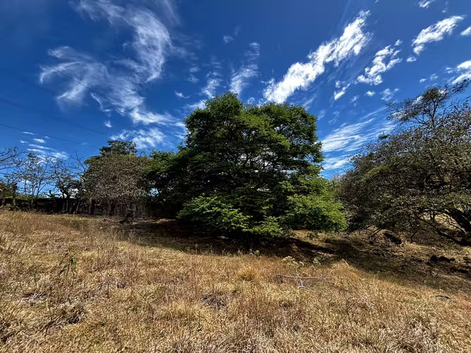 Venta de 1.3 Hectáreas con Bosque y Río en La Guácima - Imagen 8