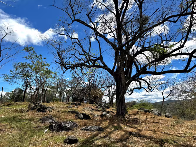 Venta de 1.3 Hectáreas con Bosque y Río en La Guácima - Imagen 19
