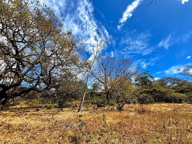 Venta de 1.3 Hectáreas con Bosque y Río en La Guácima - Imagen 6