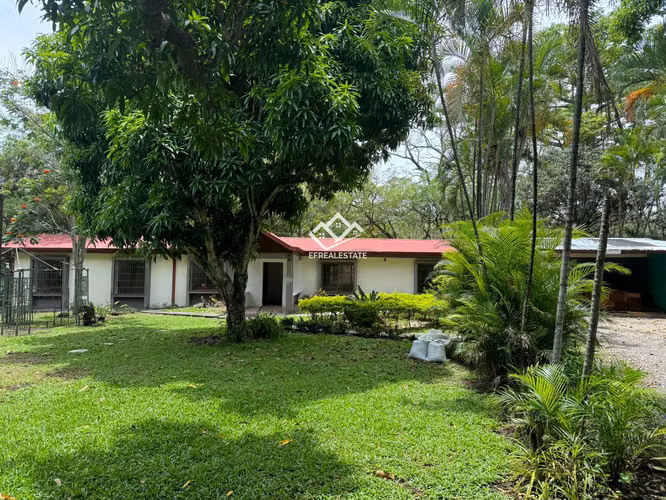 ALQUILER CASA INDEPENDIENTE 1 NIVEL SANTA ANA 4 HAB/ GRAN AREA VERDE - Imagen 12