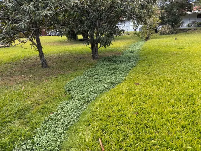 Ide 1594 Tres Rios Lote urbanizable 6757 m2 - Imagen 6
