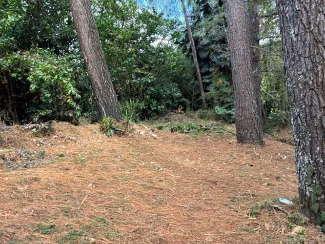 Ide 1594 Tres Rios Lote urbanizable 6757 m2 - Imagen 3