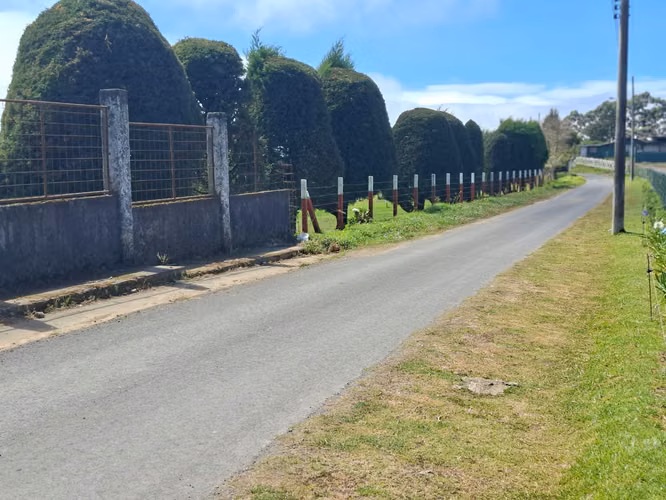 VENTA DE TERRENO  COSTA RICA CARTAGO LA ANGELINA. - Imagen 14