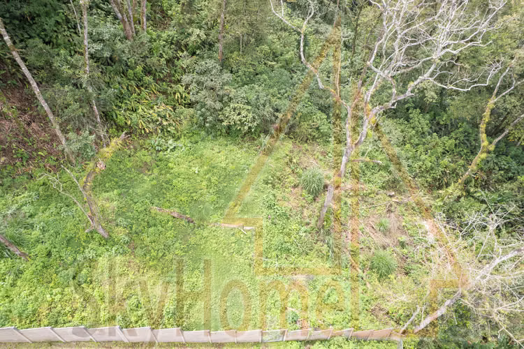 2097 / Lote / Concepción de La Unión / Permiso para 5 apartamentos - Imagen 2