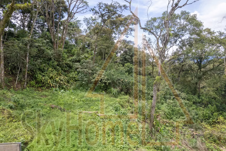2097 / Lote / Concepción de La Unión / Permiso para 5 apartamentos - Imagen 6