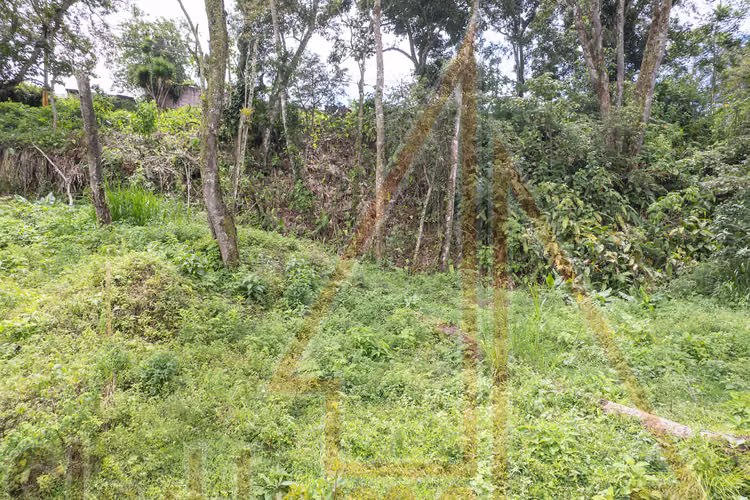 2097 / Lote / Concepción de La Unión / Permiso para 5 apartamentos - Imagen 10