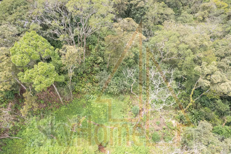 2097 / Lote / Concepción de La Unión / Permiso para 5 apartamentos - Imagen 3