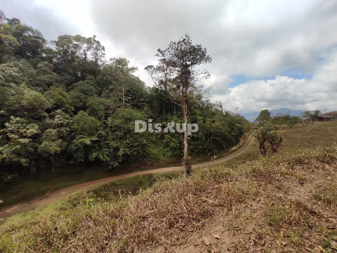 Venta de Finca en San Marcos de Tarrazú. - Imagen 12