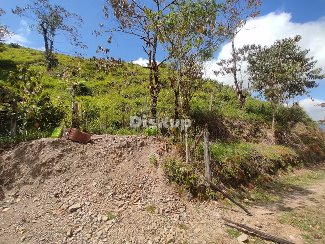 Venta de Finca en San Marcos de Tarrazú. - Imagen 18