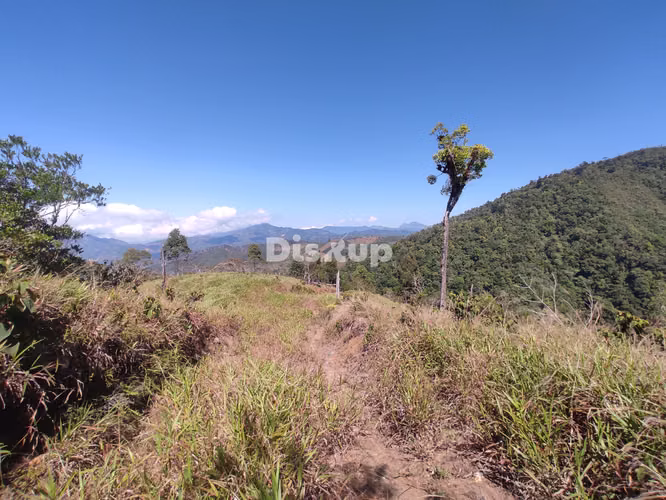 Venta de Finca en San Marcos de Tarrazú. - Imagen 9