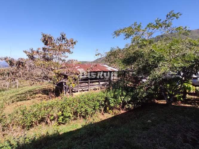 Venta de Finca en San Marcos de Tarrazú. - Imagen 6