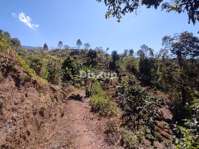Venta de Finca en San Marcos de Tarrazú. - Imagen 8