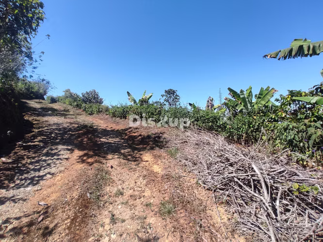 Venta de Finca en San Marcos de Tarrazú. - Imagen 3