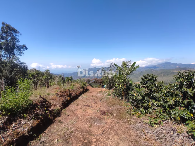 Venta de Finca en San Marcos de Tarrazú. - Imagen 2