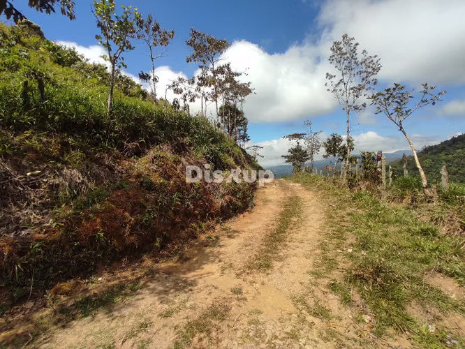 Venta de Finca en San Marcos de Tarrazú. - Imagen 5