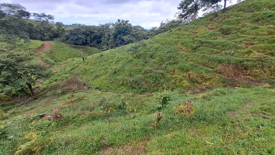 FINCA EN VENTA. SAMARA, GUANACASTE. VISTA AL MAR. EXCLUSIVA. - Imagen 19