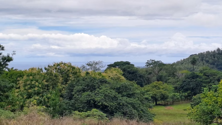 FINCA EN VENTA. SAMARA, GUANACASTE. VISTA AL MAR. EXCLUSIVA. - Imagen 15