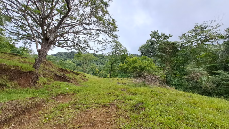 FINCA EN VENTA. SAMARA, GUANACASTE. VISTA AL MAR. EXCLUSIVA. - Imagen 5