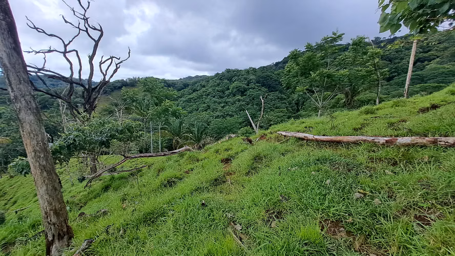 FINCA EN VENTA. SAMARA, GUANACASTE. VISTA AL MAR. EXCLUSIVA. - Imagen 12