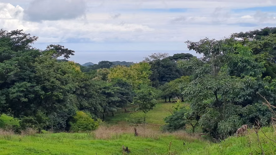 FINCA EN VENTA. SAMARA, GUANACASTE. VISTA AL MAR. EXCLUSIVA. - Imagen 16
