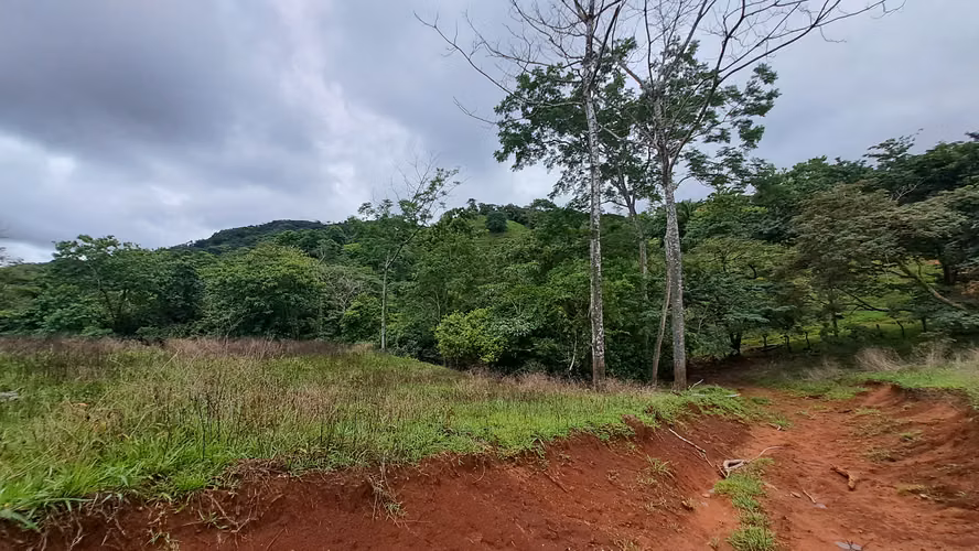 FINCA EN VENTA. SAMARA, GUANACASTE. VISTA AL MAR. EXCLUSIVA. - Imagen 17