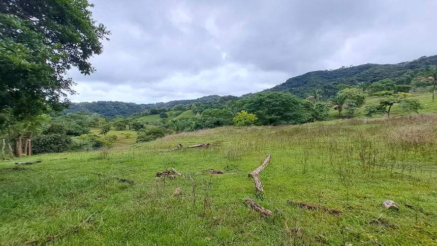 FINCA EN VENTA. SAMARA, GUANACASTE. VISTA AL MAR. EXCLUSIVA. - Imagen 10