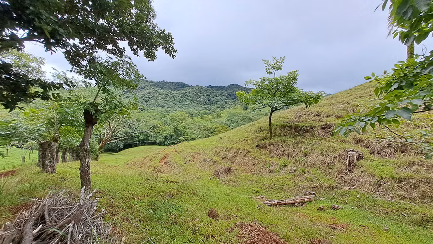 FINCA EN VENTA. SAMARA, GUANACASTE. VISTA AL MAR. EXCLUSIVA. - Imagen 14