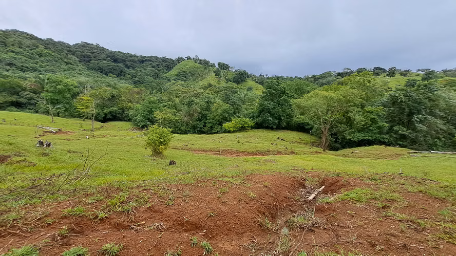 FINCA EN VENTA. SAMARA, GUANACASTE. VISTA AL MAR. EXCLUSIVA. - Imagen 6