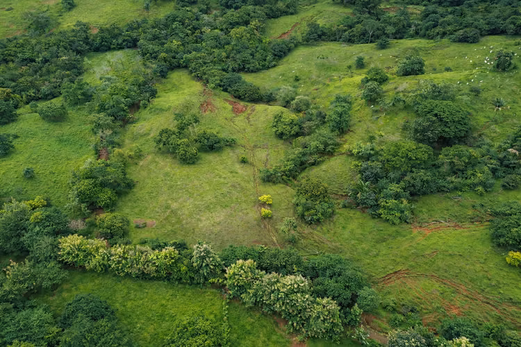 FINCA EN VENTA. SAMARA, GUANACASTE. VISTA AL MAR. EXCLUSIVA. - Imagen 3